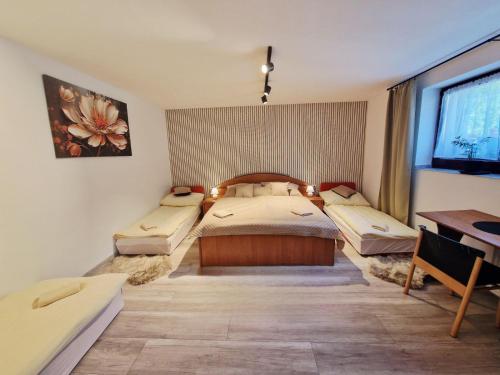 Apartmán pri zmrzline