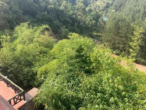 a view of a lush green hillside with trees at Rushaga Gorilla Lodge in Bugambira