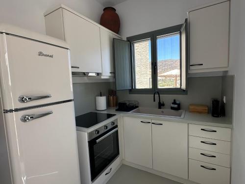 Kuchyň nebo kuchyňský kout v ubytování Ammos Andros Accommodation