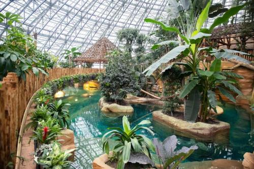 a indoor garden with a swimming pool in a greenhouse at Petite maison à coté de Beauval & Chateaux in Meusnes