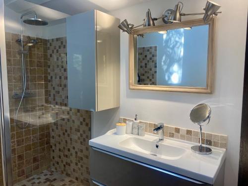 a bathroom with a sink and a shower with a mirror at Mas de la Calade Bed & Breakfast in Aix-en-Provence