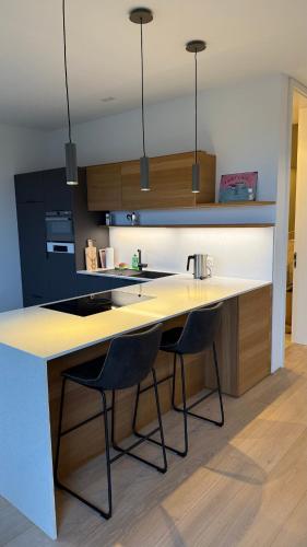 Una cocina o zona de cocina en Spacious apartment with lake view and garden