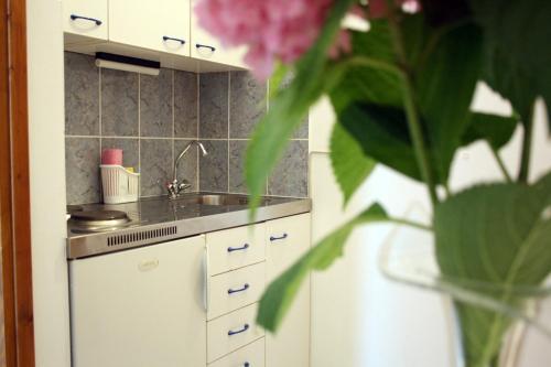 Gallery image of Meri Apartment in Vodice