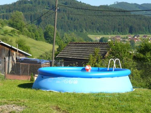 a blue tub sitting in the grass in a field at Chalupa na Valašsku in Halenkov