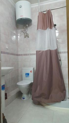 a bathroom with a toilet and a shower curtain at Guest house Ak Keme in Bosteri