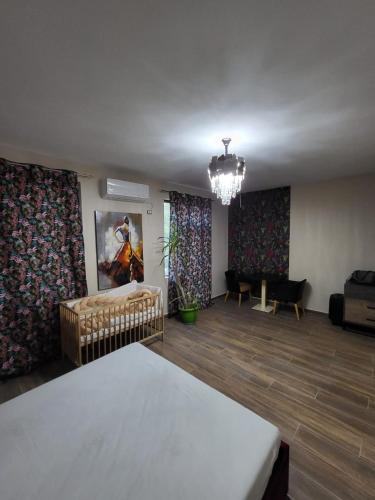 Fotografie z fotogalerie ubytování Evian Villa Berat v destinaci Berat