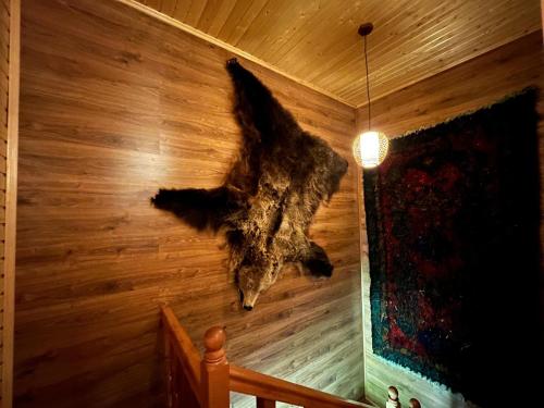 Imagen de la galería de Shahdag Mountain Hotel, en Laza