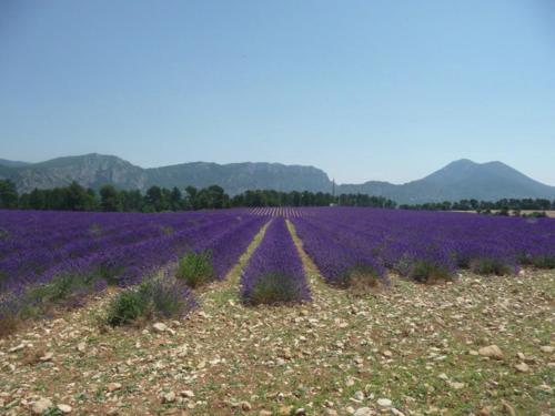 Φυσικό τοπίο κοντά σε αυτή η παραθεριστική κατοικία