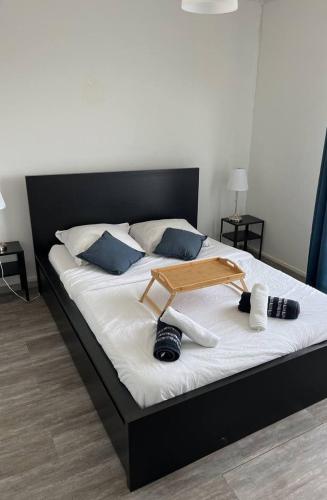 Grand appartement BREST pour max 11 personnes