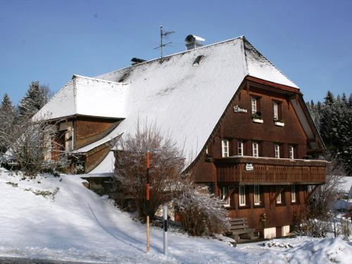 Το Apartment in Dachsberg-Urberg τον χειμώνα