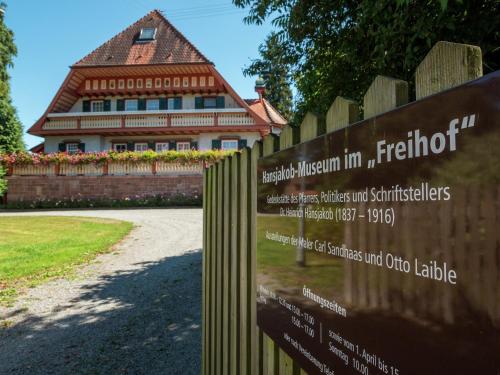 Fotografie z fotogalerie ubytování Zentrale Wohnung in Haslach v destinaci Haslach im Kinzigtal