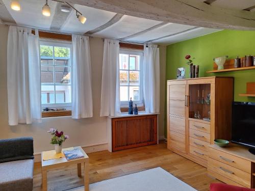 a living room with a tv and two windows at Ferienwohnung Schlossstrasse 7 in Steinbach