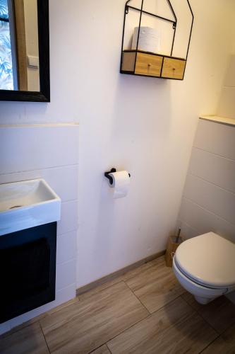 a bathroom with a toilet and a sink and a mirror at Holiday House Valaliky in Valaliky