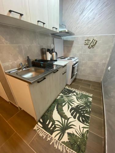 Η κουζίνα ή μικρή κουζίνα στο Baja's Garden Apartman