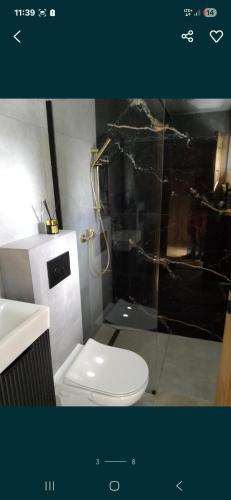 a bathroom with a white toilet and a shower at Apartament Laura in Mechelinki