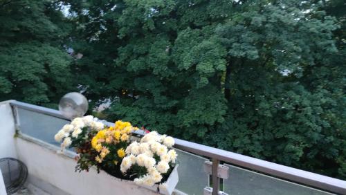 Ein Balkon oder eine Terrasse in der Unterkunft Sonnenschein am Modezentrum Hamburg