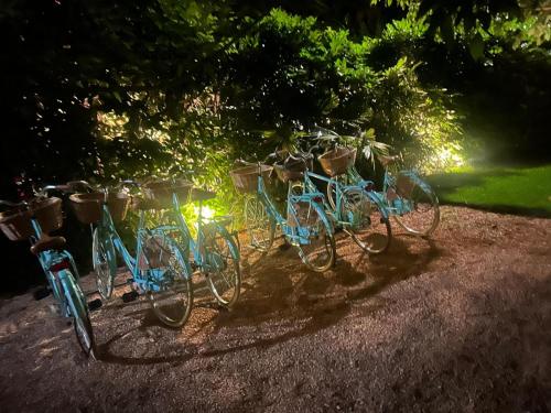a group of bikes lined up in a row at night at federica guest house in Forte dei Marmi