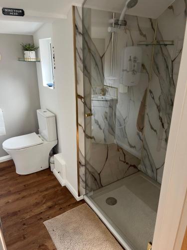a shower stall in a bathroom with a toilet at Munjac Muse in Dersingham
