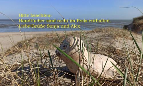 a turtle sitting in the sand on the beach at Seehund-Lilly in Wilhelmshaven