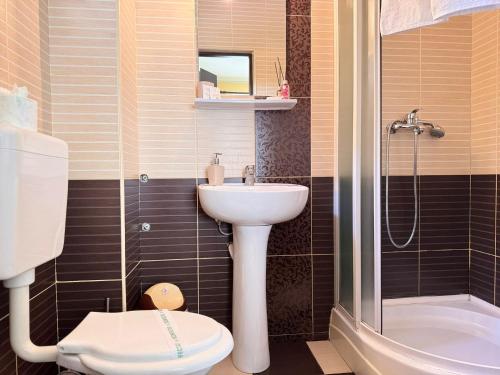 a bathroom with a sink and a toilet and a shower at Casa Anamaria in Baile Felix