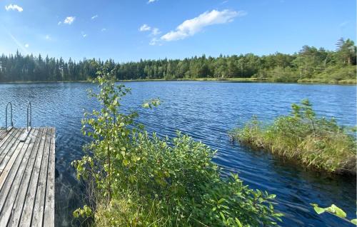 a view of a lake with trees in the background at Stunning Home In Skillingaryd With Sauna in Ryd