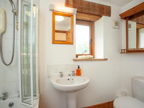 a bathroom with a sink and a toilet and a shower at Pondmead in Monk Okehampton