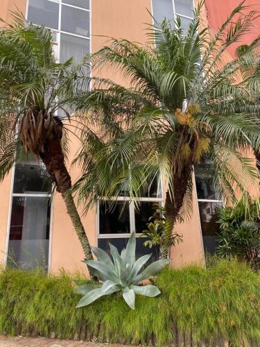 two palm trees in front of a building at Anacã São Carlos in São Carlos