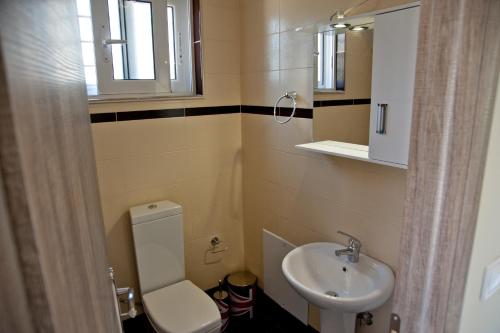 a small bathroom with a toilet and a sink at Eco Villas Diakopto in Diakopto