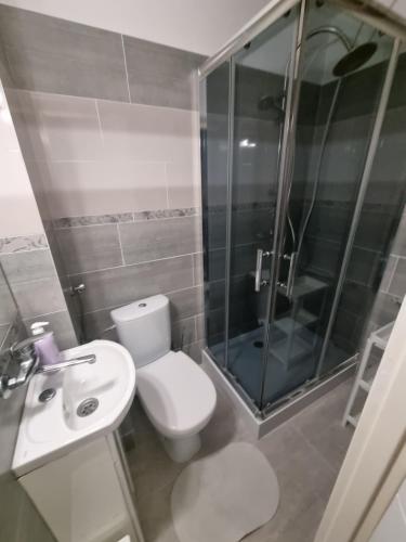 a bathroom with a toilet and a shower and a sink at Pokoje Złota Rybka in Stegna