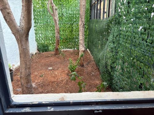 a window view of a garden with trees and a fence at ASARAG GUEST HOUSE & Lodge in Mirleft