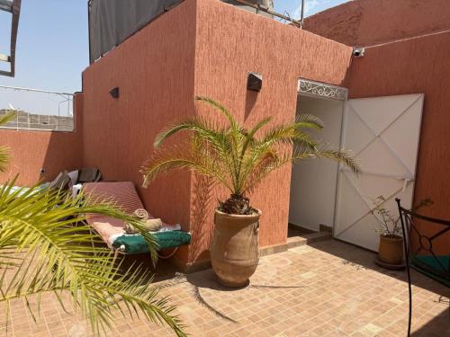 a large potted plant sitting on the side of a building at Riad Dihya in Marrakech