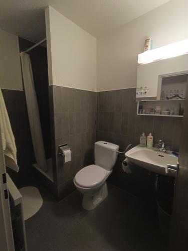 a bathroom with a toilet and a sink at Thyon 2000, Vex, Les Collons, studio Velan 218 in Vex