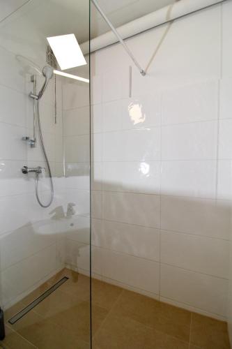 a bathroom with a shower and a sink at Balcony Apartment - Next to Opera in Vienna