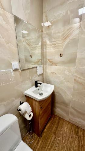 a bathroom with a sink and a toilet and a mirror at Apartament nr 3 przy Sali Kominkowej in Przeczyce
