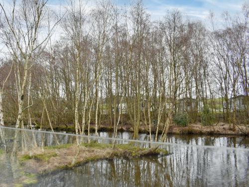 a group of trees sitting in the water at Lakeview Lodge in Landford