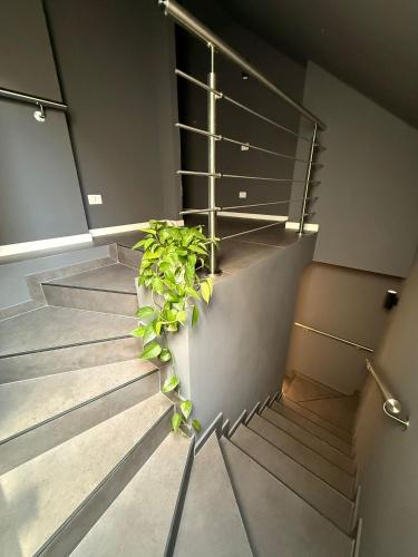 DoorMI - Premium Suites and Apartments photo 23