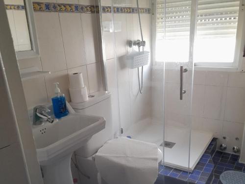a bathroom with a shower and a toilet and a sink at A Beautiful Townhouse in Rute