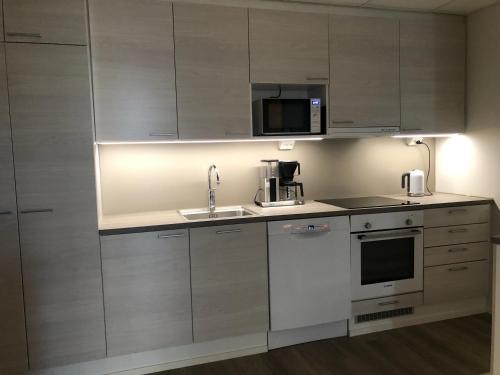 Η κουζίνα ή μικρή κουζίνα στο City Center Arctic Elegance Apartment