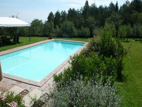 Πισίνα στο ή κοντά στο Apartment in Cetona with pool