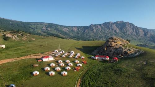 a herd of sheep grazing on a grassy hill at Bayankhad Star Lodge in Dugang Süme