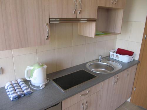 uma pequena cozinha com um lavatório e uma bancada em Morskie Opowieści em Mikoszewo