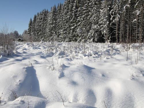 L'établissement Cozy Forest Chalet Escape en hiver