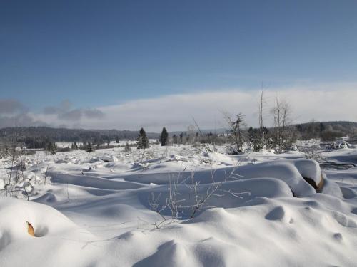 L'établissement Cozy Forest Chalet Escape en hiver