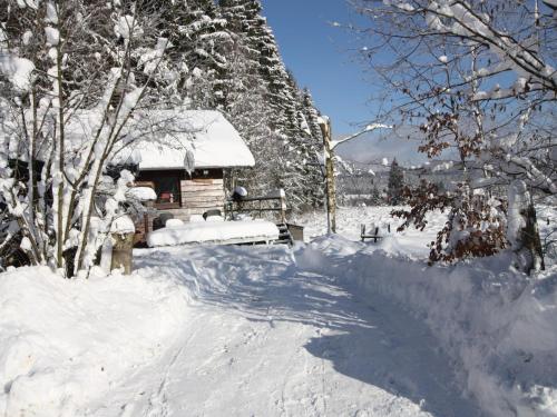 L'établissement Cozy Forest Chalet Escape en hiver