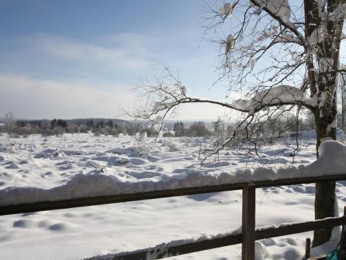 L'établissement Cozy Forest Chalet Escape en hiver