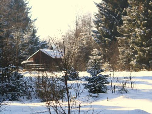 L'établissement Cozy Forest Chalet Escape en hiver