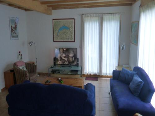 a living room with two blue couches and a tv at Chalet in Saint-Jean near Ski Lift in Saint-Jean-d'Aulps