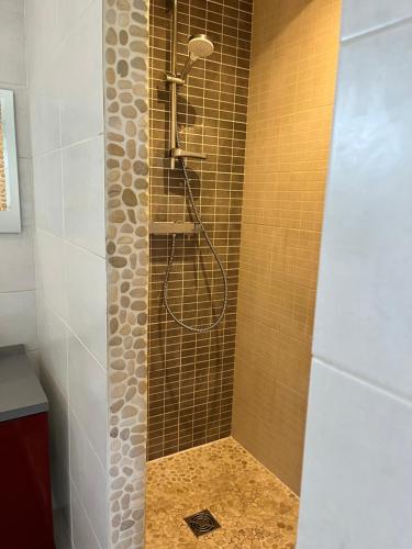 a shower with a shower head in a bathroom at Studio 4 personnes in Puget-sur Argens