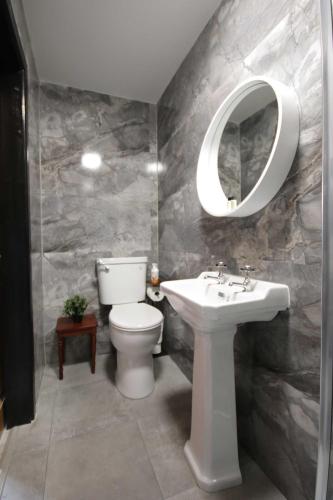 a bathroom with a sink and a toilet and a mirror at Georgias Gate Studio Cottage - Sleeps 4 & Pets Ok in Errill