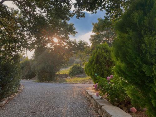 a road with the sun shining through trees and flowers at La Casina D' Avena in Agna